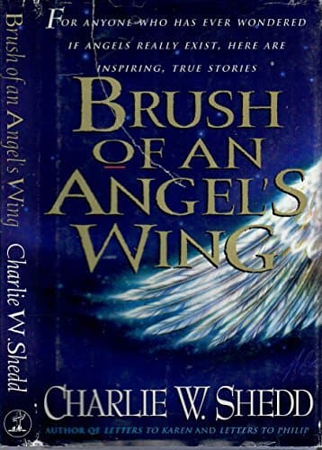 Brush with an Angel's Wing cover