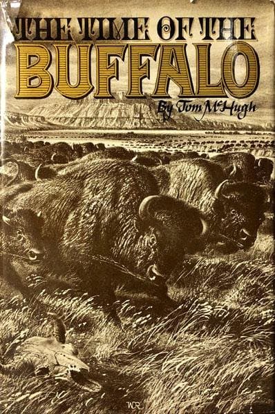 The Time of the Buffalo cover