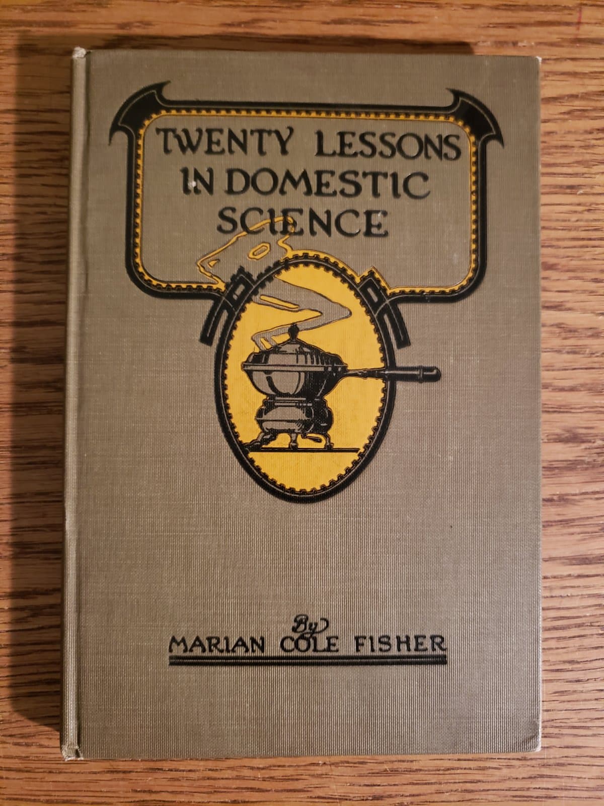 Twenty Lessons in Domestic Science cover