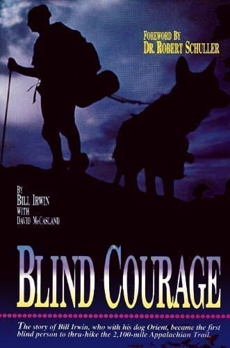 Blind Courage cover