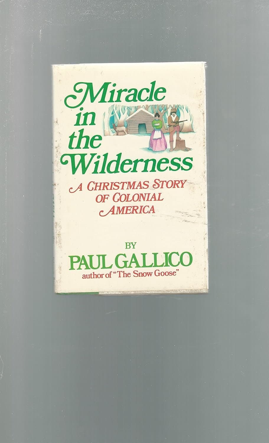 Miracle in the wilderness cover